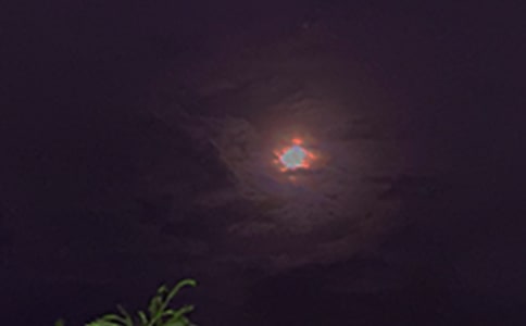 2024年常用優(yōu)美的晚安心語語錄大合集73條