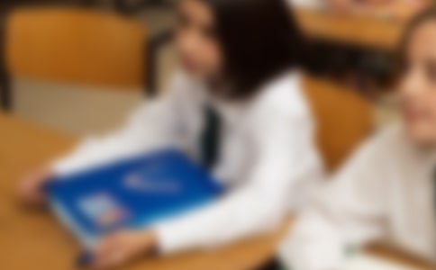 【精品】實(shí)用的小學(xué)生的作文4篇