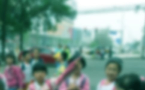 【精品】小學(xué)生作文300字匯編6篇