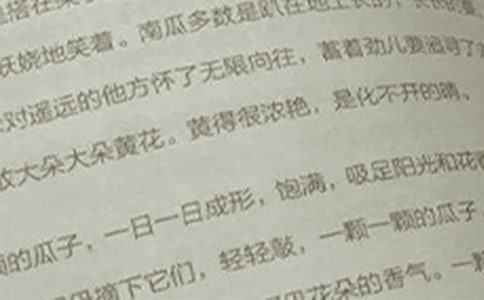 小學(xué)語文教案大全(5篇)