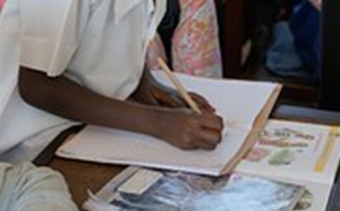 【精】話題的作文